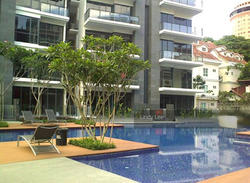 Buckley 18 (D11), Apartment #139757952